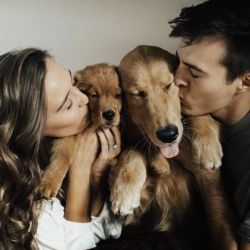 Cómo elegir la mejor cobertura médica para tu mascota. Las claves que todo tutor debería conocer | Foto:CONTENT NOTICIAS