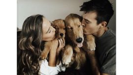 Cómo elegir la mejor cobertura médica para tu mascota. Las claves que todo tutor debería conocer