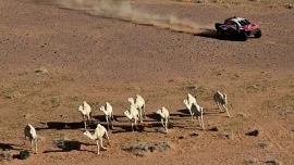 Los camellos se escapan mientras el piloto sudafricano Henk Lategan de Toyota Gazoo Racing W2rc y el copiloto Brett Cummings compiten en la Etapa 5 de la 48ª edición del Rally Dakar 2026, entre Al-Ula y Hail, Arabia Saudita.