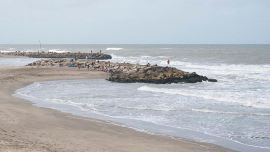 El programa de Matías Alé grabó en vivo la ola gigante que golpeó Mar del Plata: "De pronto, apareció un tsunami"