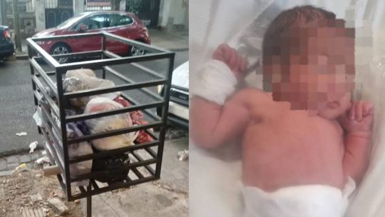 Police rescue newborn abandoned in rubbish bin in San Martín | Buenos ...