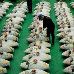 El ejemplar fue capturado frente a las costas de Oma, en el norte del país y fue adjudicado por más de 510 millones de yenes.