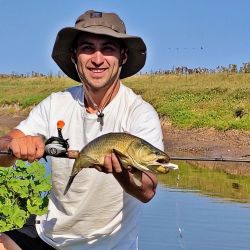 Lisas, tarariras y carpas abundan en este pesquero carente de servicios pero con buen pique. 