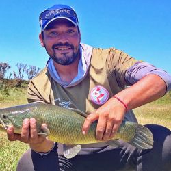 Lisas, tarariras y carpas abundan en este pesquero carente de servicios pero con buen pique. 