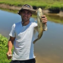 Lisas, tarariras y carpas abundan en este pesquero carente de servicios pero con buen pique. 