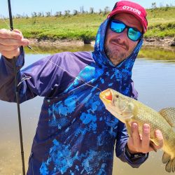 Lisas, tarariras y carpas abundan en este pesquero carente de servicios pero con buen pique. 