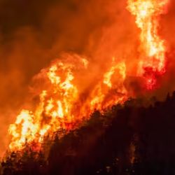 Incendios Patagonia | Foto:CEDOC