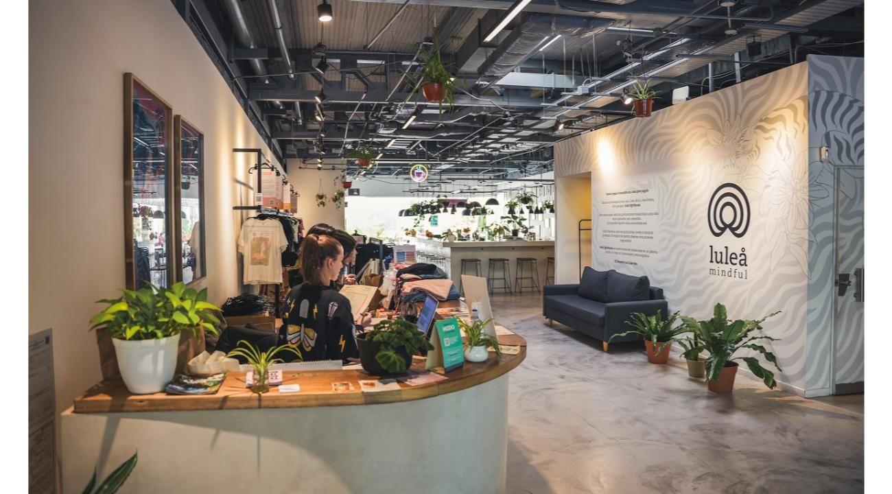 La rentabilidad de la eficiencia