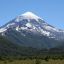 0114_neuquen