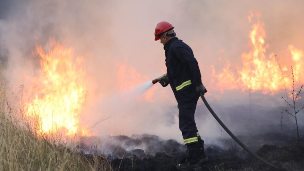Recomendaciones para evitar incendios forestales.