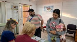 15-01-2026 Puerto Iguazú Misiones cuidado de mascotas