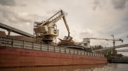 China Said Seeking Argentina Crops As It Skirts US Tariffs