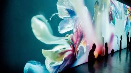 Agenda del 15 al 21 de enero