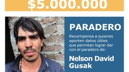  Nelson David Gusak