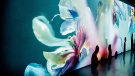 Las cinco recomendaciones culturales de la semana: música, veredazo solidario, ShortFest y más