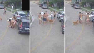 La pelea de Eros Mancuso, Tomás Pochettino y el “Tucu” Herrera contra otros vecinos