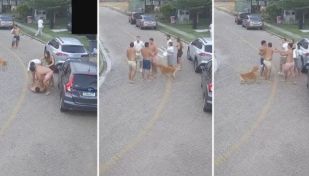 La pelea de Eros Mancuso, Tomás Pochettino y el “Tucu” Herrera contra otros vecinos