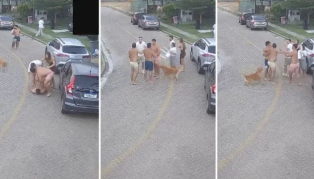 La pelea de Eros Mancuso, Tomás Pochettino y el “Tucu” Herrera contra otros vecinos