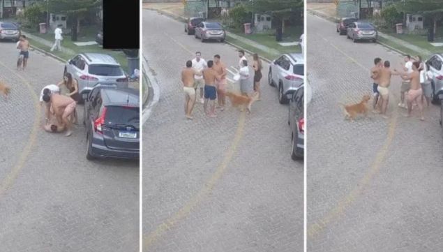 La pelea de Eros Mancuso, Tomás Pochettino y el “Tucu” Herrera contra otros vecinos