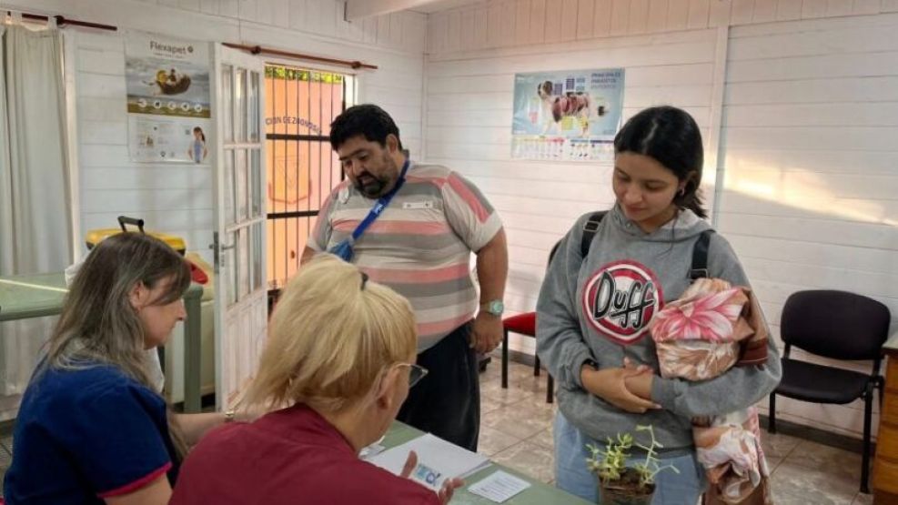 15-01-2026 Puerto Iguazú Misiones cuidado de mascotas