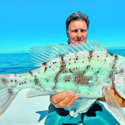 Colorida pesca en las Seychelles.