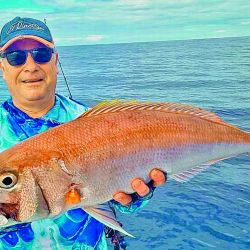 Colorida pesca en las Seychelles.