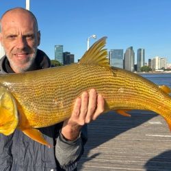 Mejoraron las condiciones en la costa bonaerense y eso favoreció la pesca en algunos puntos. Alejarse de los centros turísticos es clave, siendo la noche un buen plan en muelles y escolleras. 
