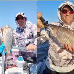 Mejoraron las condiciones en la costa bonaerense y eso favoreció la pesca en algunos puntos. Alejarse de los centros turísticos es clave, siendo la noche un buen plan en muelles y escolleras. 