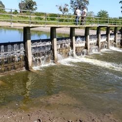 Mejoraron las condiciones en la costa bonaerense y eso favoreció la pesca en algunos puntos. Alejarse de los centros turísticos es clave, siendo la noche un buen plan en muelles y escolleras. 