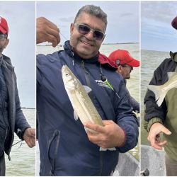 Mejoraron las condiciones en la costa bonaerense y eso favoreció la pesca en algunos puntos. Alejarse de los centros turísticos es clave, siendo la noche un buen plan en muelles y escolleras. 