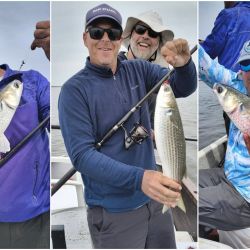 Mejoraron las condiciones en la costa bonaerense y eso favoreció la pesca en algunos puntos. Alejarse de los centros turísticos es clave, siendo la noche un buen plan en muelles y escolleras. 