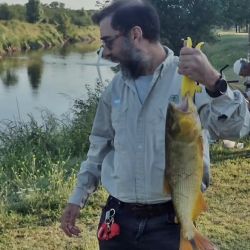 Mejoraron las condiciones en la costa bonaerense y eso favoreció la pesca en algunos puntos. Alejarse de los centros turísticos es clave, siendo la noche un buen plan en muelles y escolleras. 
