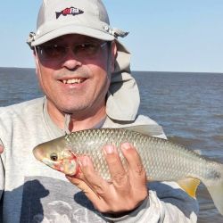 Mejoraron las condiciones en la costa bonaerense y eso favoreció la pesca en algunos puntos. Alejarse de los centros turísticos es clave, siendo la noche un buen plan en muelles y escolleras. 