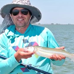 Mejoraron las condiciones en la costa bonaerense y eso favoreció la pesca en algunos puntos. Alejarse de los centros turísticos es clave, siendo la noche un buen plan en muelles y escolleras. 