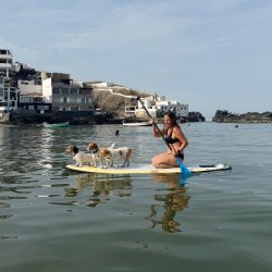 Imagen tomada con un teléfono móvil de una mujer paseando con perros en una tabla de surf de remo en una playa de San Bartolo, en Lima, Perú. | Foto:Xinhua/Mariana Bazo