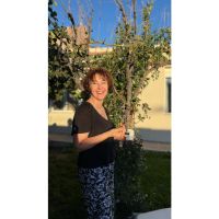 Cuando los elementos arden: arte, Patagonia y los 5 elementos