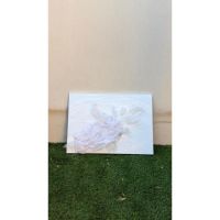 Cuando los elementos arden: arte, Patagonia y los 5 elementos