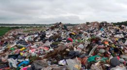 hallazgo de feto en paso de los libres