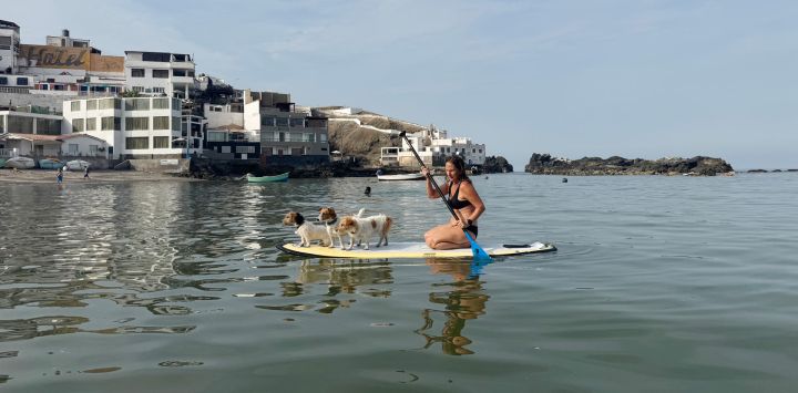 Imagen tomada con un teléfono móvil de una mujer paseando con perros en una tabla de surf de remo en una playa de San Bartolo, en Lima, Perú.