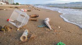 Los resultados del censo muestran que los residuos plásticos siguen dominando la composición de la basura costera