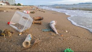 Los resultados del censo muestran que los residuos plásticos siguen dominando la composición de la basura costera