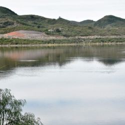 La reglamentación establece como especies de valor deportivo al pejerrey, carpas, trucha arcoíris, tararira, dientudos, mojarras y chanchitas, además de detallar cupos, modalidades permitidas y períodos de veda. 
