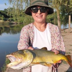 El pesquero brinda un pique excelente, con una muy buena variedad de especies como manduvas, dorados, paties, cachorros, bagres blancos, amarillos y palometas.