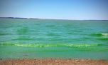 4 lagunas bonaerenses en alerta roja por cianobacterias 