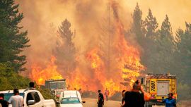 Incendios en la Patagonia: el fuego avanza en cuatro parques nacionales y ya supera las 50 mil hectáreas quemadas