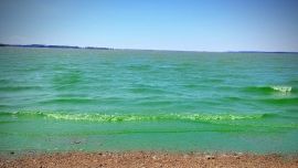4 lagunas bonaerenses en alerta roja por cianobacterias