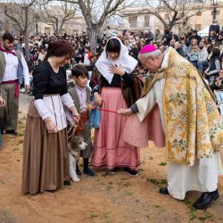 El obispo de Mallorca, Sebastia Taltavull, bendice a un perro durante las Bendiciones, ceremonia tradicional de bendición de animales que conmemora el día de San Antón, patrón de los animales, en Muro, Mallorca. Perros, gatos, conejos e incluso tortugas, muchos ataviados con sus mejores galas, desfilaron por las iglesias de toda España en busca de la bendición del día de San Antonio, patrón de los animales. | Foto:JAIME REINA / AFP