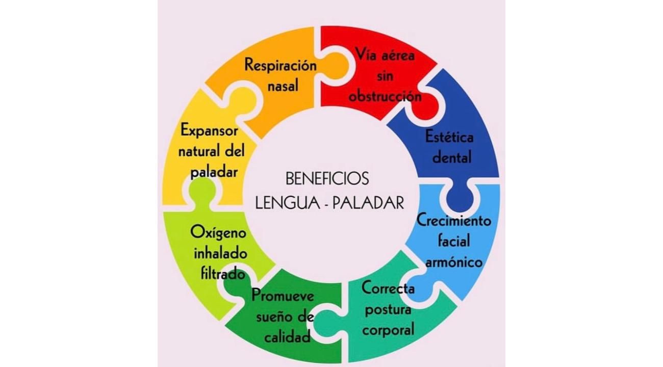 La lengua: el arquitecto silencioso de la cara de tu hijo