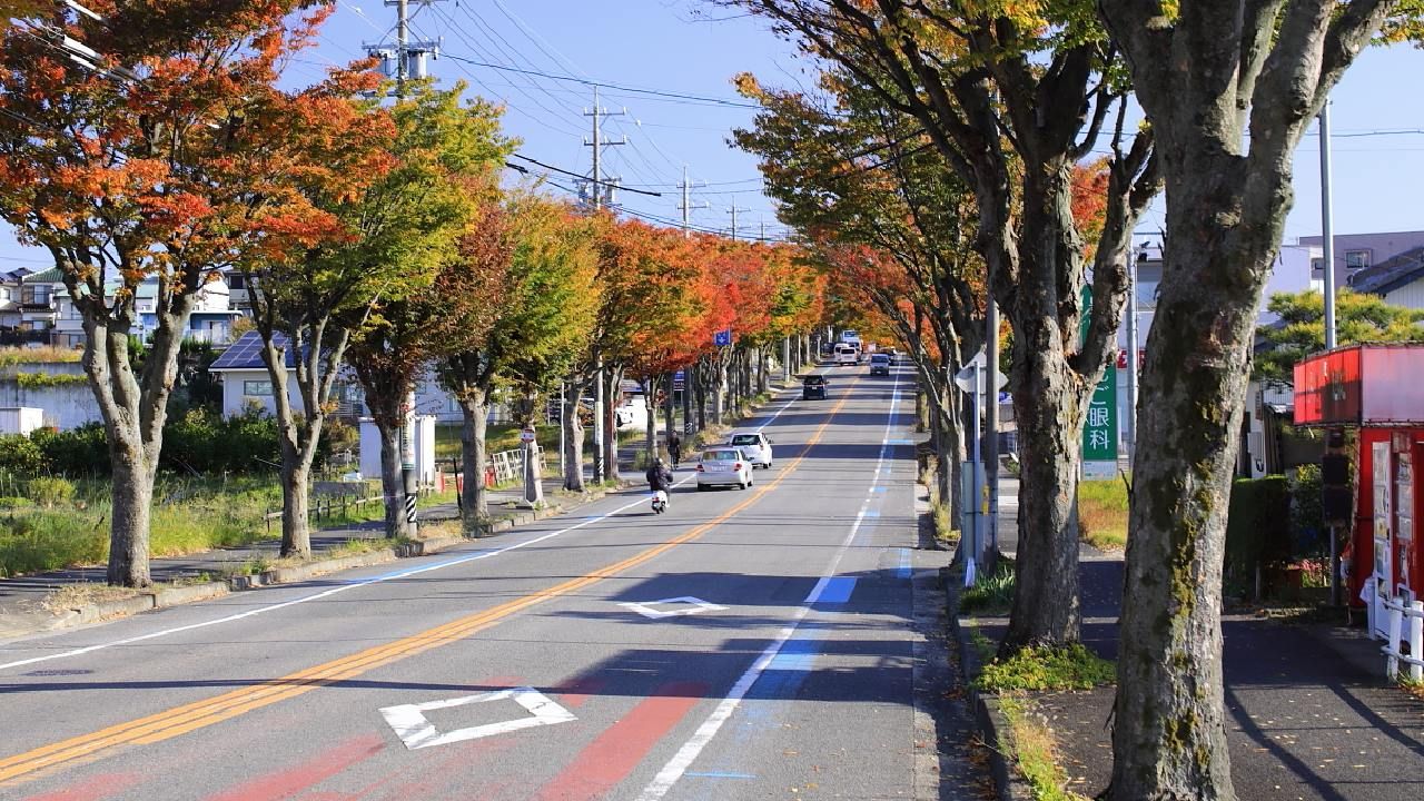 Toyoake | Foto:CEDOC