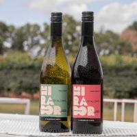 El vino que rompe prejuicios llega a las góndolas